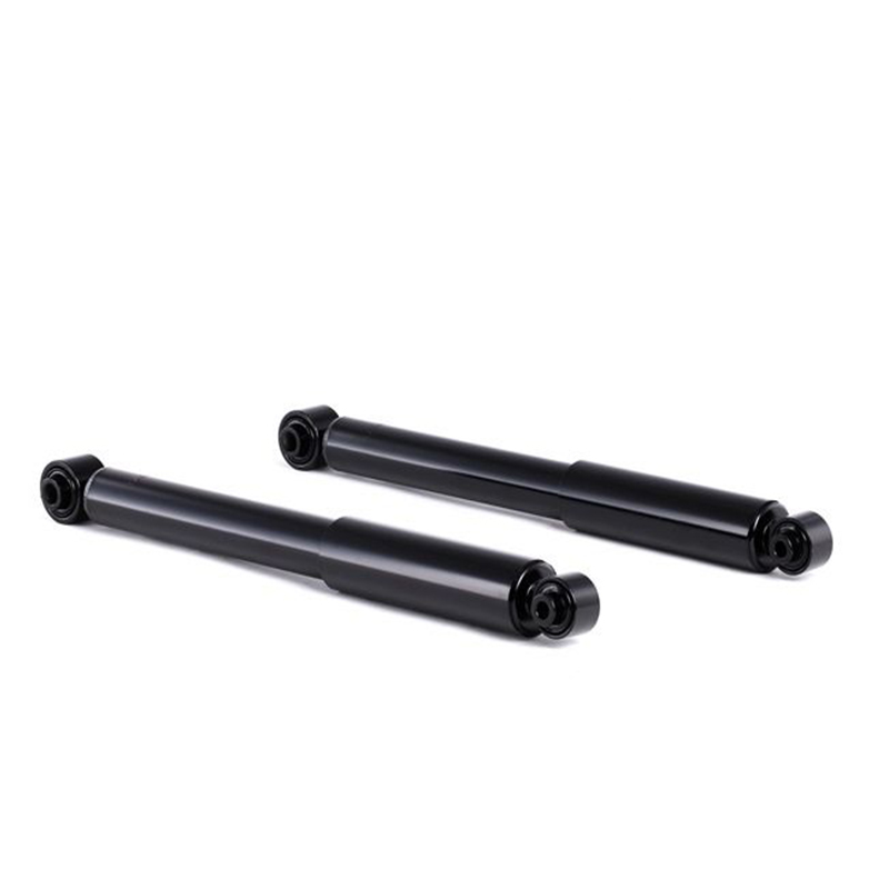 Peugeot 1007 АМОРТИЗАТОР Задний