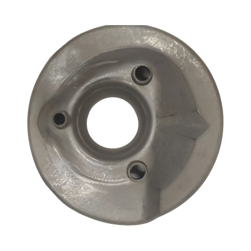 Пружинный диск 3100070